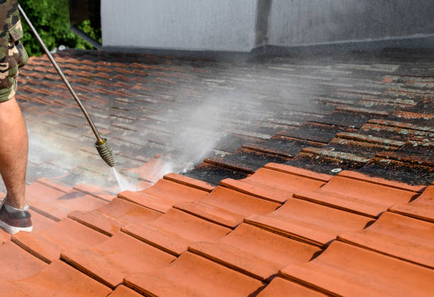 Best Exterior Home Cleaning  in Edgewood, WA