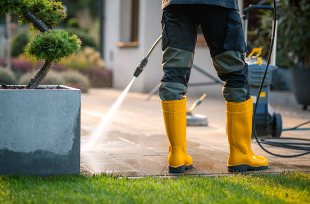 Best Affordable Pressure Washing  in Edgewood, WA